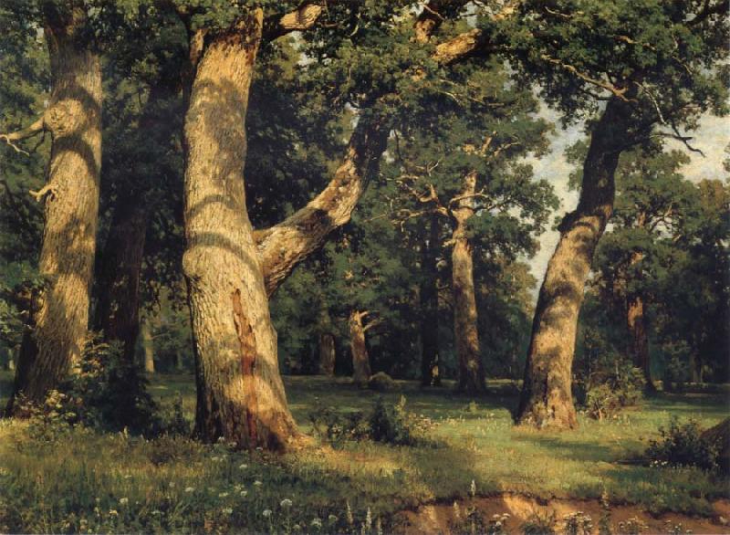 Ivan Shishkin Oak of the Forest oil painting image